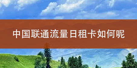 中国联通流量日租卡如何