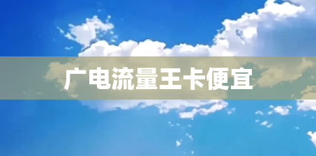 广电流量王卡便宜