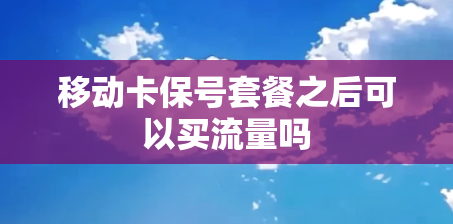 移动卡保号套餐之后可以买流量吗