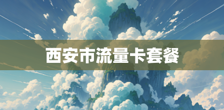 西安市流量卡套餐