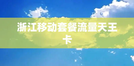 浙江移动套餐流量天王卡