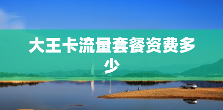大王卡流量套餐资费多少
