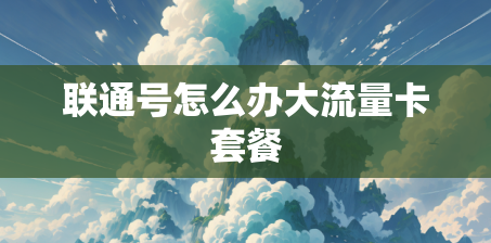 联通号怎么办大流量卡套餐