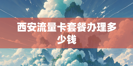 西安流量卡套餐办理多少钱