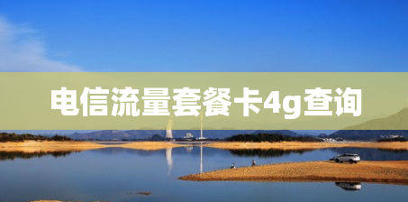 电信流量套餐卡4g查询