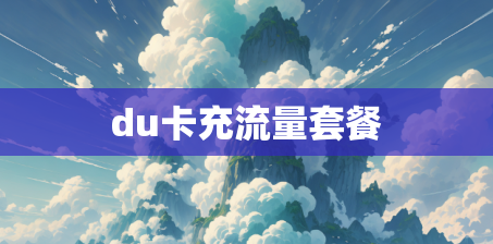 du卡充流量套餐