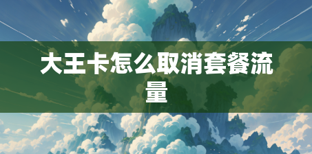 大王卡怎么取消套餐流量