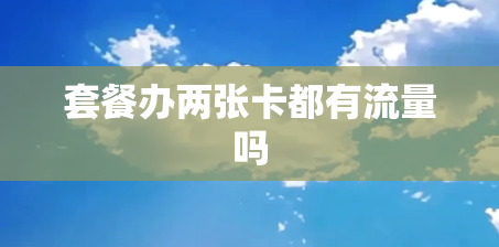 套餐办两张卡都有流量吗