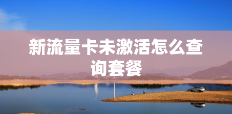 新流量卡未激活怎么查询套餐