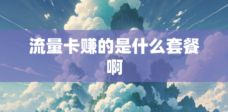 流量卡赚的是什么套餐啊