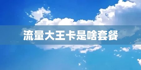 流量大王卡是啥套餐