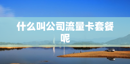 什么叫公司流量卡套餐呢