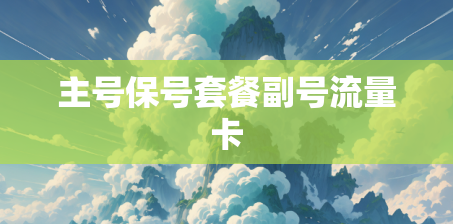 主号保号套餐副号流量卡