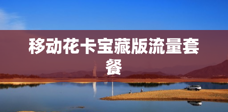 移动花卡宝藏版流量套餐