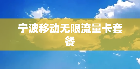 宁波移动无限流量卡套餐