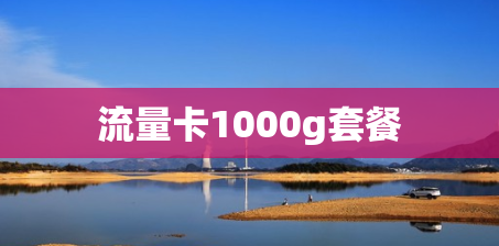 流量卡1000g套餐